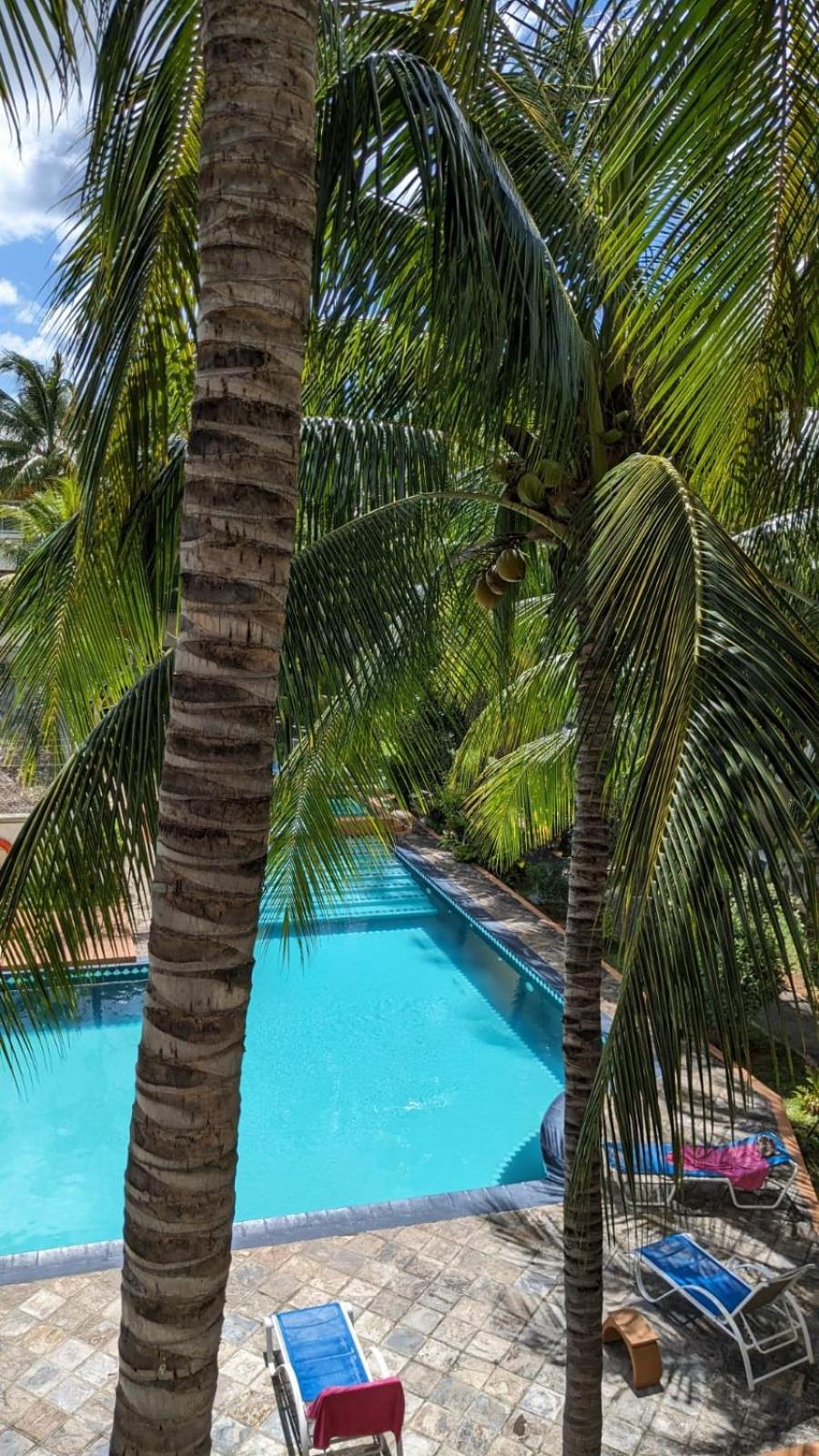 Charming Apartment Close To Beach & Amenities - Appartement De Charme Proche Plage Flic-en-Flacq Eksteriør bilde