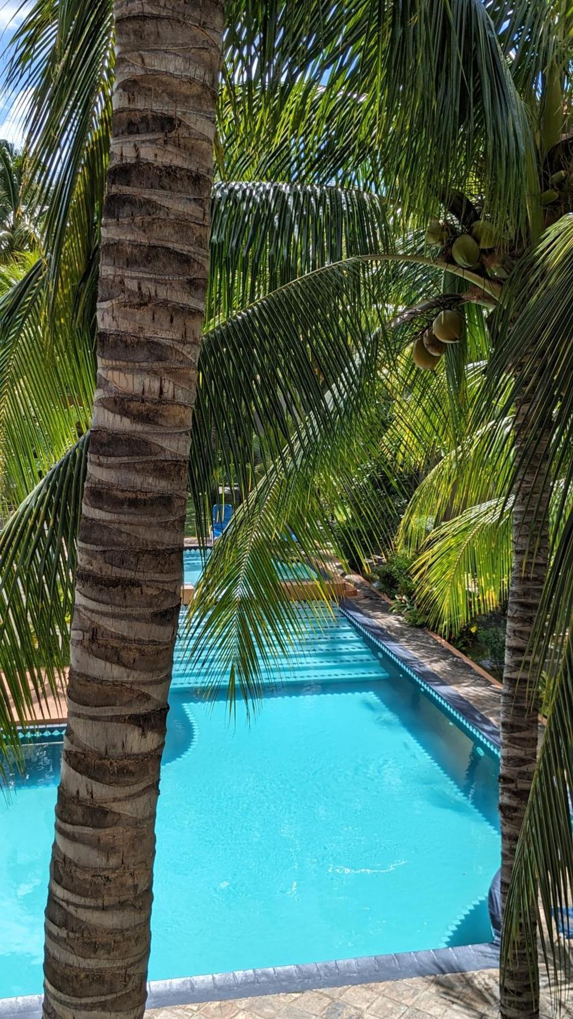 Charming Apartment Close To Beach & Amenities - Appartement De Charme Proche Plage Flic-en-Flacq Eksteriør bilde